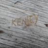 kennysleve